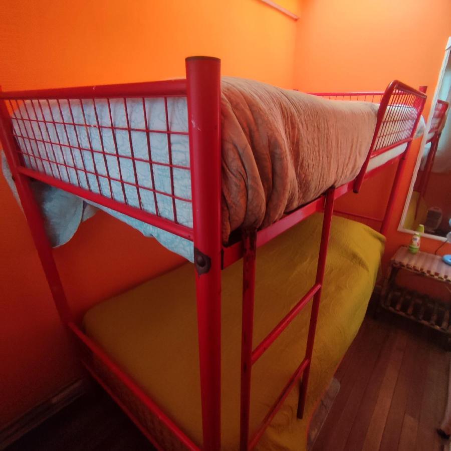 Gatos De Campo, Tiernos Y Traviesos Hostel - Santiago — Photos 2